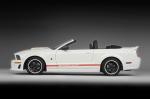 Ford Mustang Speedster by Roush 2008 года
